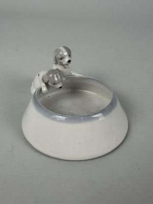 a small dog sitting on top of a white bowl