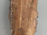 une image représentant un morceau de bois posé sur une table