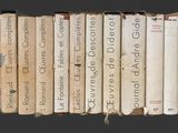 un grand nombre de livres empilés les uns sur les autres