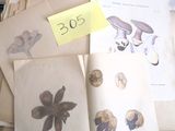 un grand nombre de papiers posés sur une table