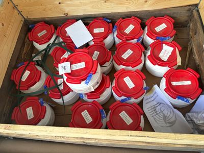 many buckets of red and white containers in a box