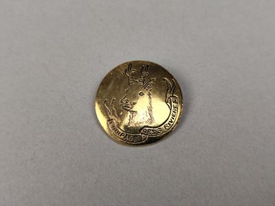 gros plan d'une pièce de monnaie sur une surface blanche