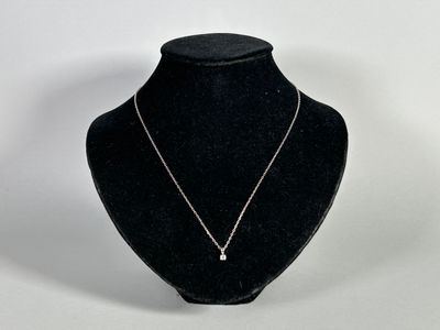 necklace on a mannequin display with a white background
