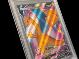 une image d'une carte Pokémon dans un étui en plastique transparent