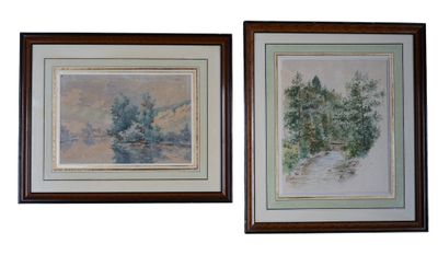 deux tableaux encadrés représentant des arbres, accrochés à un mur blanc, avec un cadre marron