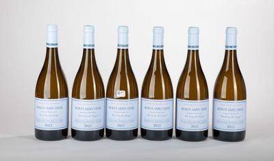 six bouteilles de vin sont alignées sur une surface blanche