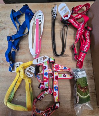 une boîte de colliers et de laisses pour chiens posée par terre