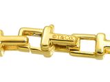 a close up of a gold chain with a clasp on it
