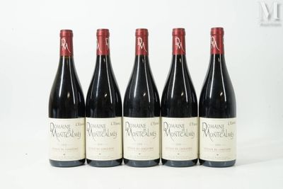 six bouteilles de vin sont alignées sur une surface blanche