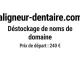 Photo 1/1 du lot