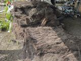 un gros tas de terre au milieu d'une cour