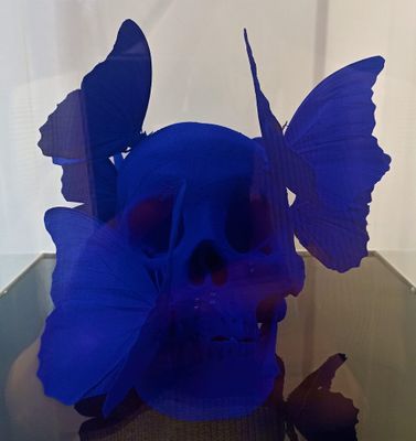 Artiste : Philippe Pasqua Titre : Vanité