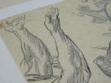 a drawing of a cat and a bird on a piece of paper