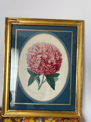 une photo d'une fleur rose dans un cadre doré