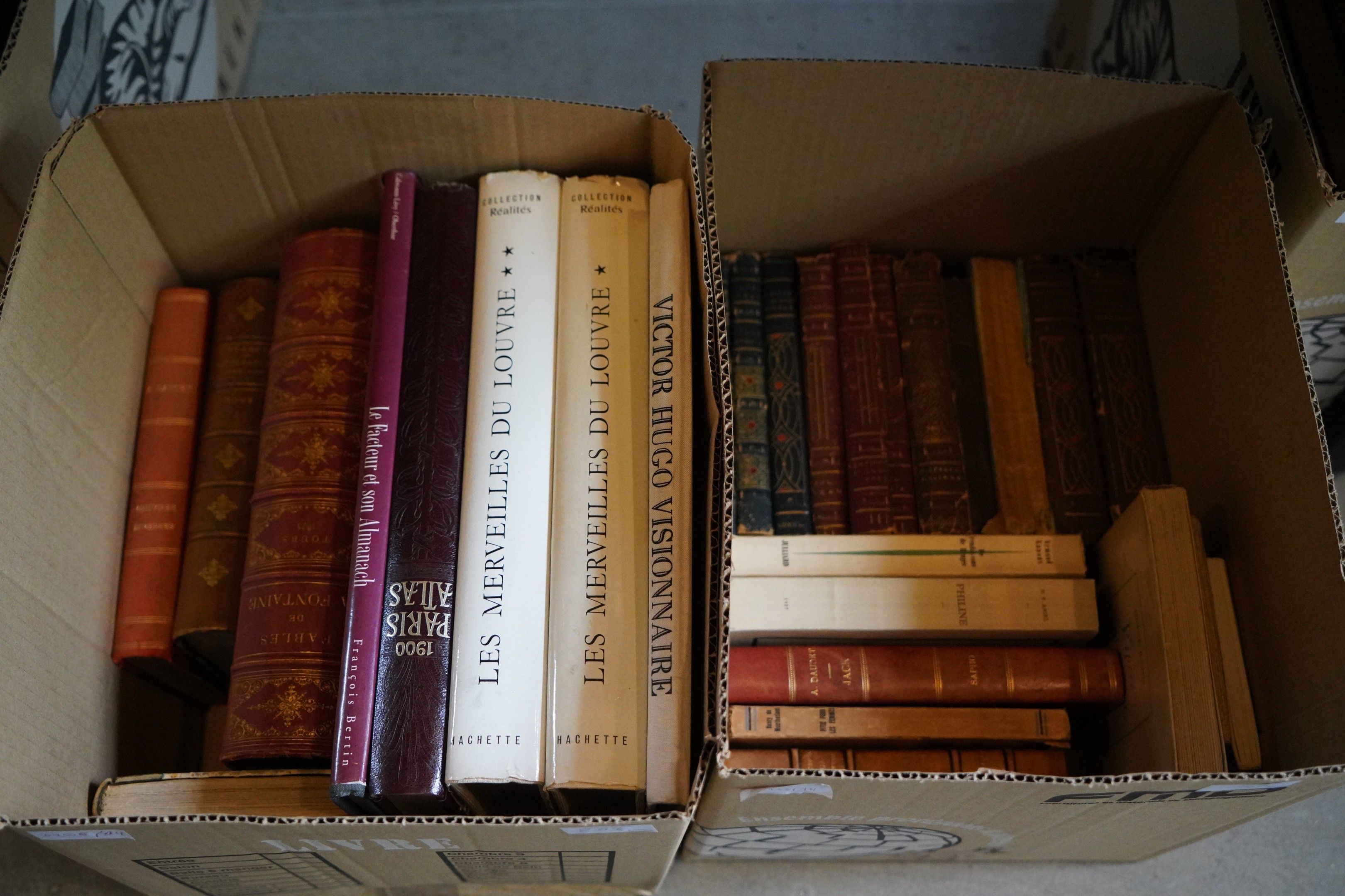 Objets d'art & Curiosités