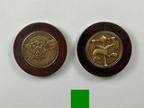 two gold coins on a white surface with a green background