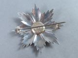 a silver brooch with a silver pin on it