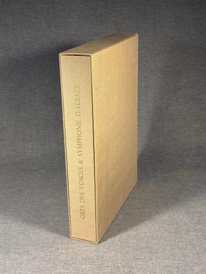 an open box on a gray surface with a black background