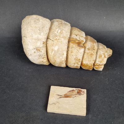 an image of a small piece of stone next to a small piece of wood