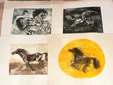four different pictures of horses on a sheet of paper