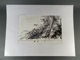 l'image d'un dessin d'oiseau sur une feuille de papier