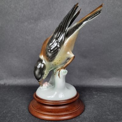 Sujet en porcelaine polychrome représentant un merle picoran…