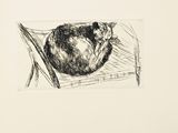 Photo 6/7 du lot