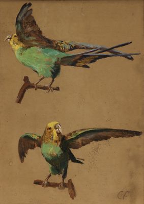 tableau représentant deux perroquets perchés sur une branche, dont l'un a les ailes déployées