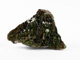 a close up of a rock with moss on it on a white surface