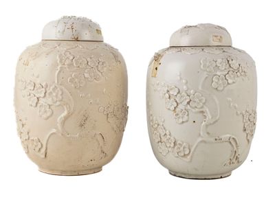 deux vases blancs ornés de motifs sur fond blanc