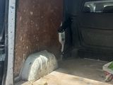 a cat that is sitting in the back of a truck