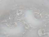 a bowl of water with a lot of ice inside of it