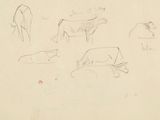 drawing of a herd of cattle grazing on a dry grass covered field