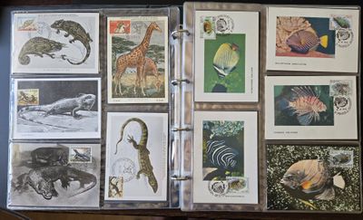 Il y a beaucoup d'animaux différents sur cette page du livre