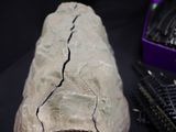 a large rock with a crack in it sitting on a table