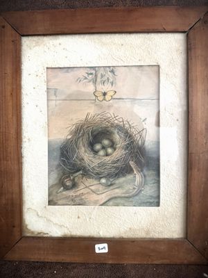 an old picture of a bird ' s nest with two eggs in it
