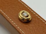 brown leather case with a gold buckle with a diamond on it
