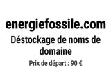 Photo 1/1 du lot