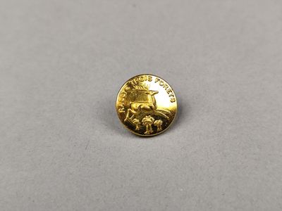 gros plan d'une pièce d'or sur une surface grise