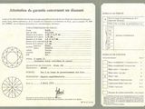 Photo 2/2 du lot