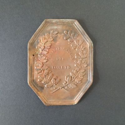 ADMINISTRATION DES FORETS, XIXe