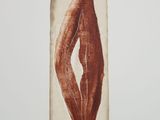 an image of a drawing of a leaf on a piece of paper