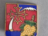 an image of a pin with a picture of a tree and grapes on it