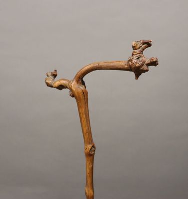 un petit oiseau perché sur une branche d'arbre