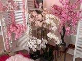 pink and white flowers are in a vase next to a pink rug
