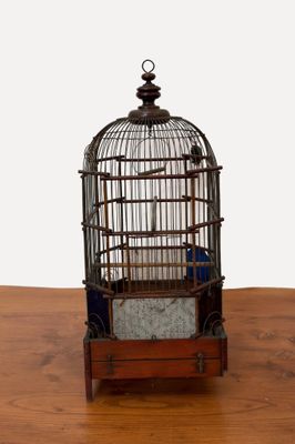 une cage à oiseaux avec un oiseau à l'intérieur, posée sur une table en bois