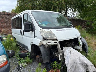 une camionnette blanche garée dans l'herbe