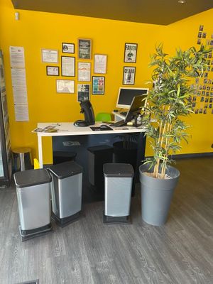 un bureau avec un ordinateur et une plante dans un coin