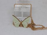a small box with a butterfly on it on a chain