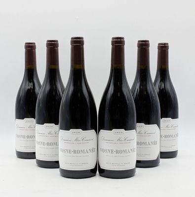 six bouteilles de vin sont alignées sur une surface blanche